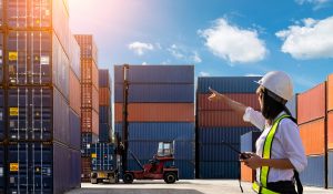 Shipping from UK to Germany cost